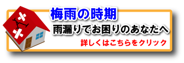 春の暴風雨による雨漏りでお困りのあなたへ