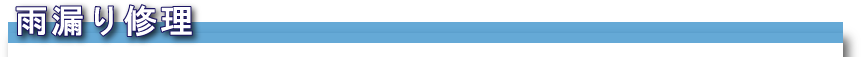 雨漏り修理 雨漏り修理